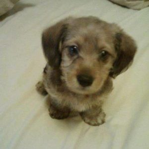 Meet your Posher, Lynne